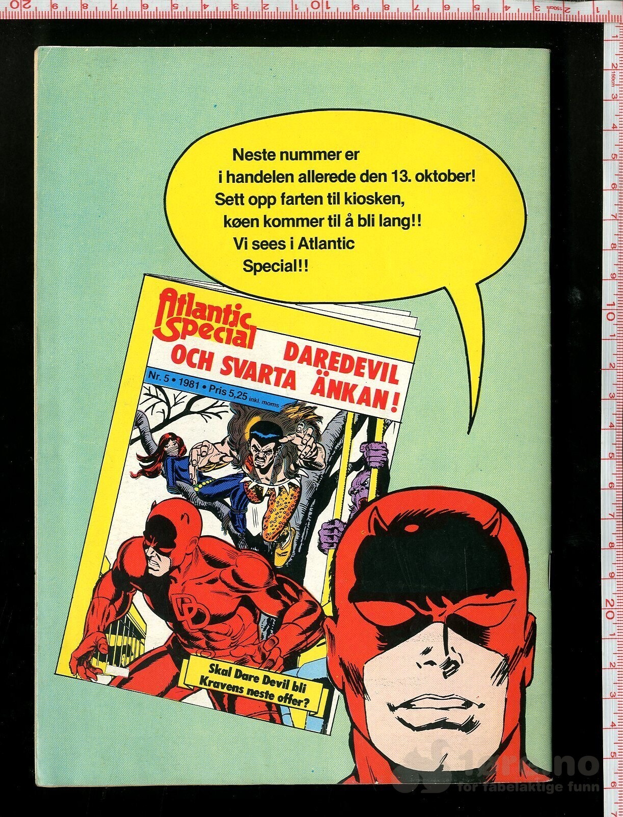 ATLANTIC SPECIAL 1981,NR.4, bilde 2