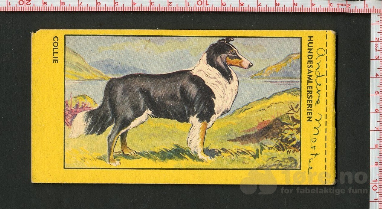 HOPALONG CASSIDY 1954, NR.5, bilde 2