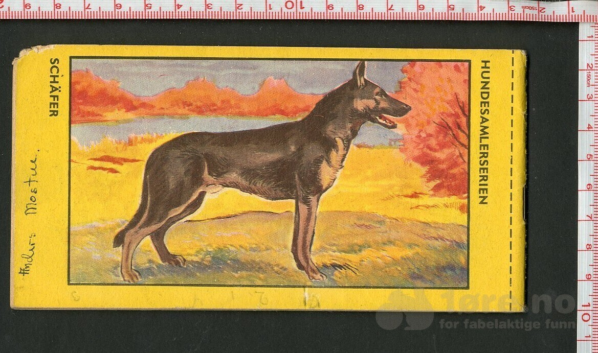 HOPALONG CASSIDY 1954, NR.6, bilde 2