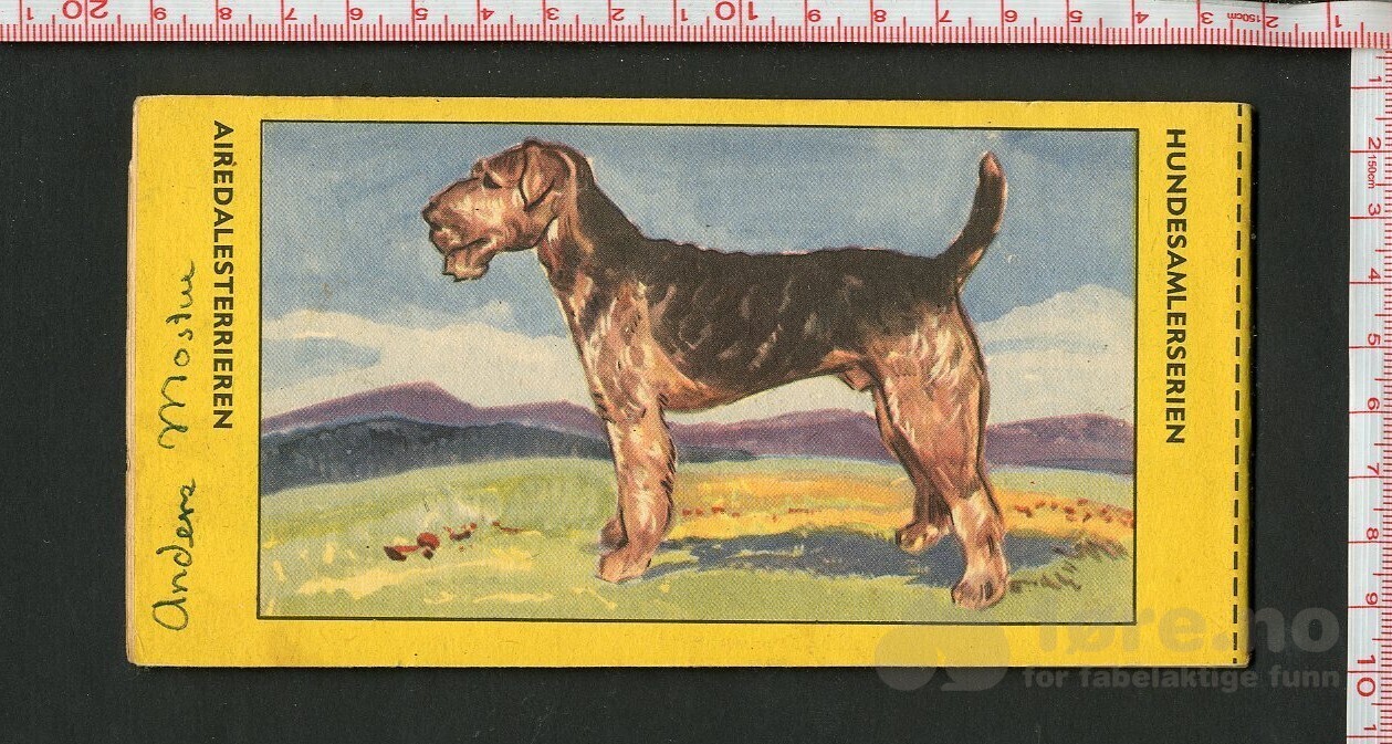 HOPALONG CASSIDY 1954, NR.31, bilde 2