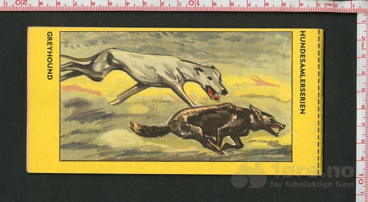 HOPALONG CASSIDY 1954, NR.32, bilde 2