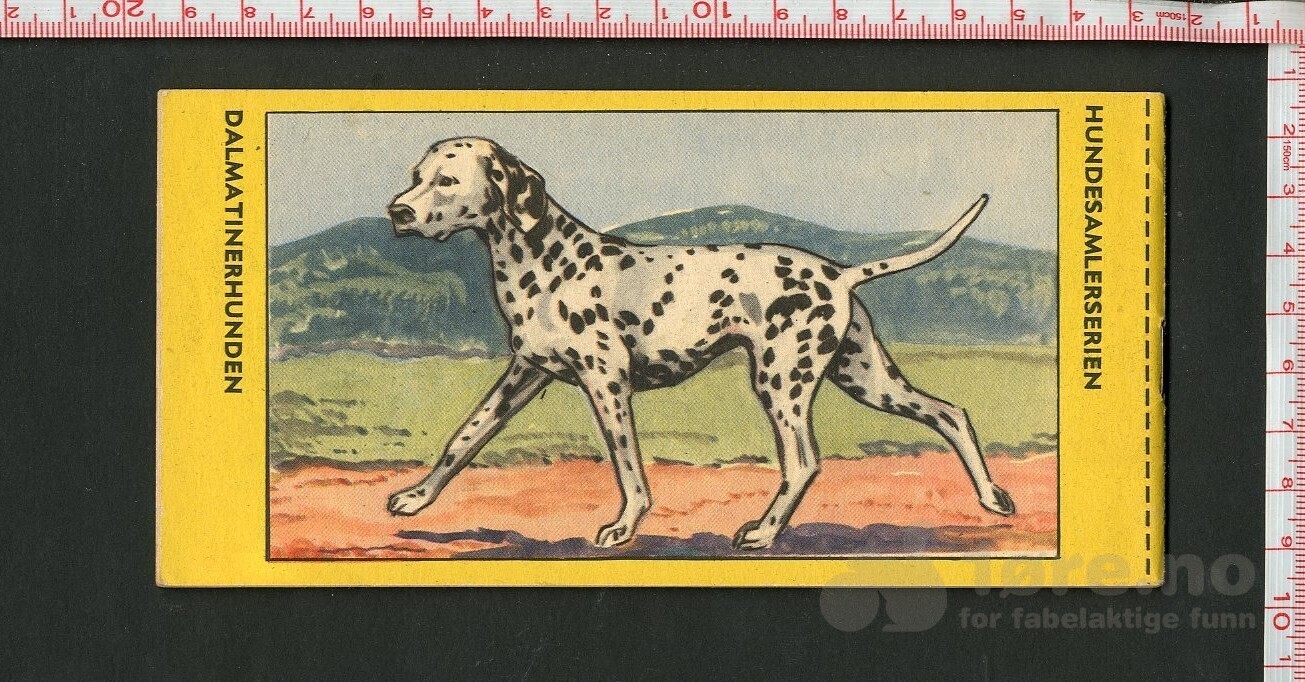 HOPALONG CASSIDY 1954, NR.33, bilde 2