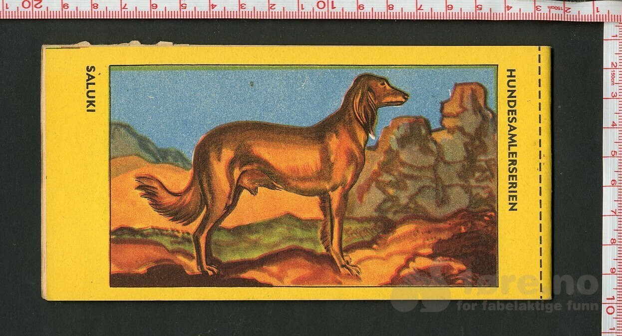 HOPALONG CASSIDY 1954, NR.40, bilde 2