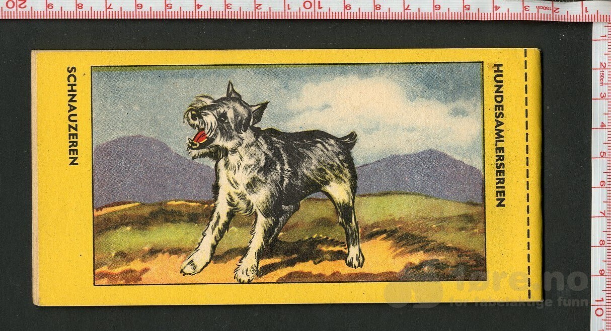 HOPALONG CASSIDY 1954, NR.41, bilde 2