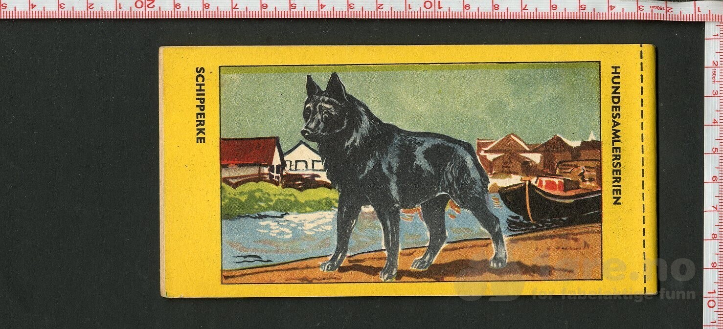 HOPALONG CASSIDY 1954, NR.42, bilde 2