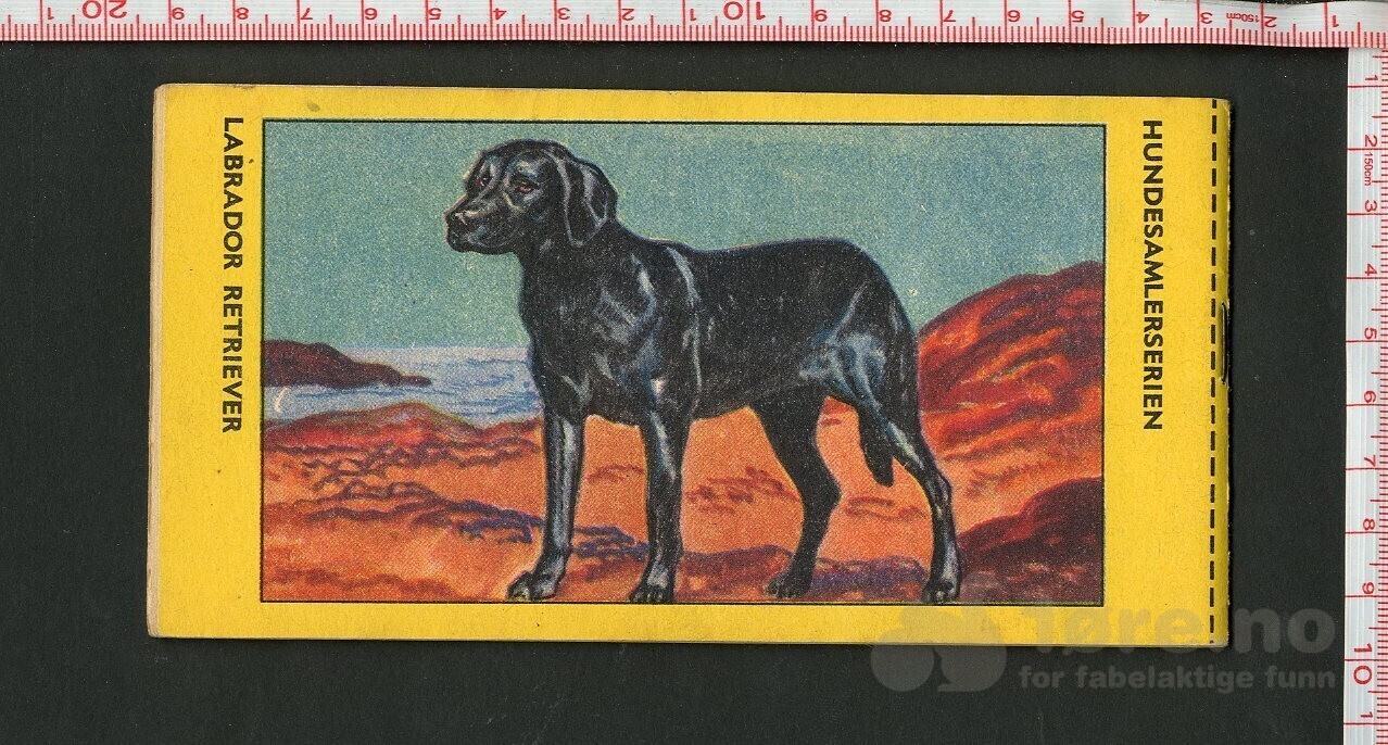 HOPALONG CASSIDY 1954, NR.43, bilde 2