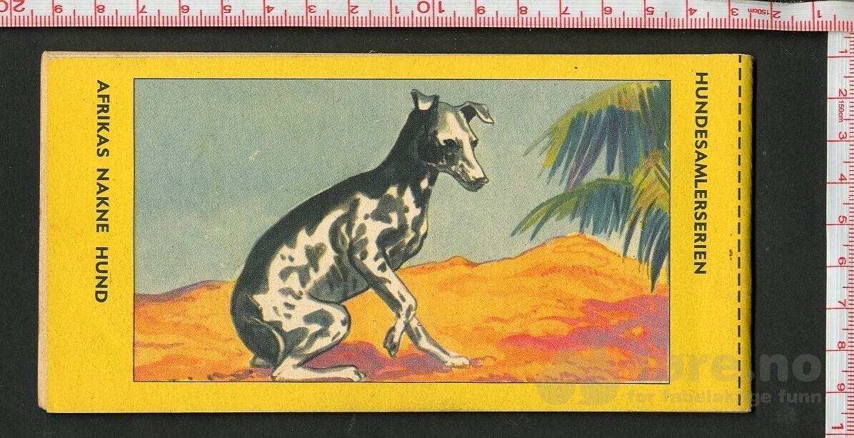 HOPALONG CASSIDY 1954, NR.48, bilde 2