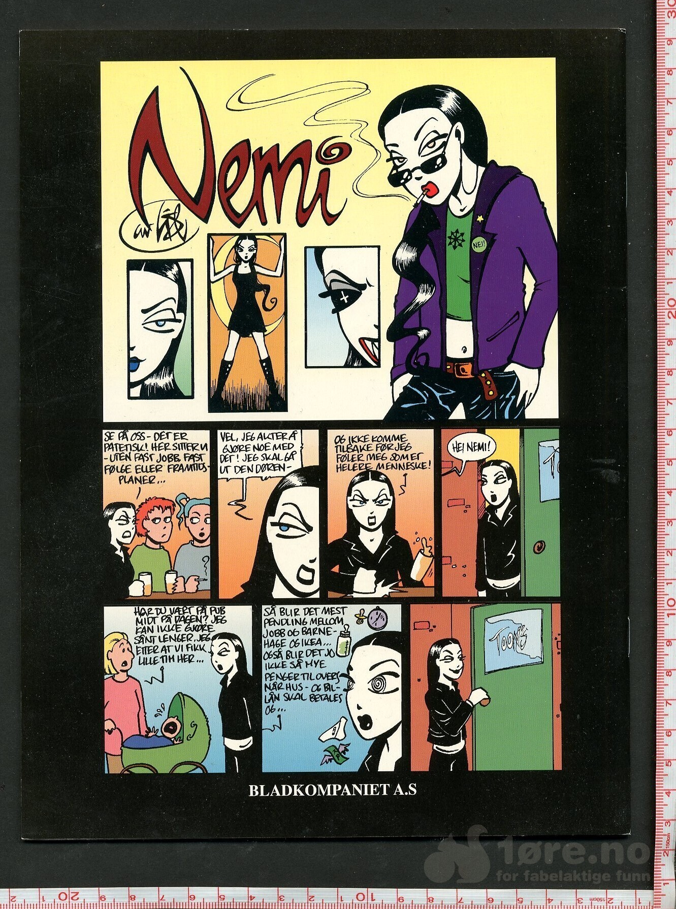 NEMI 2000, bilde 2
