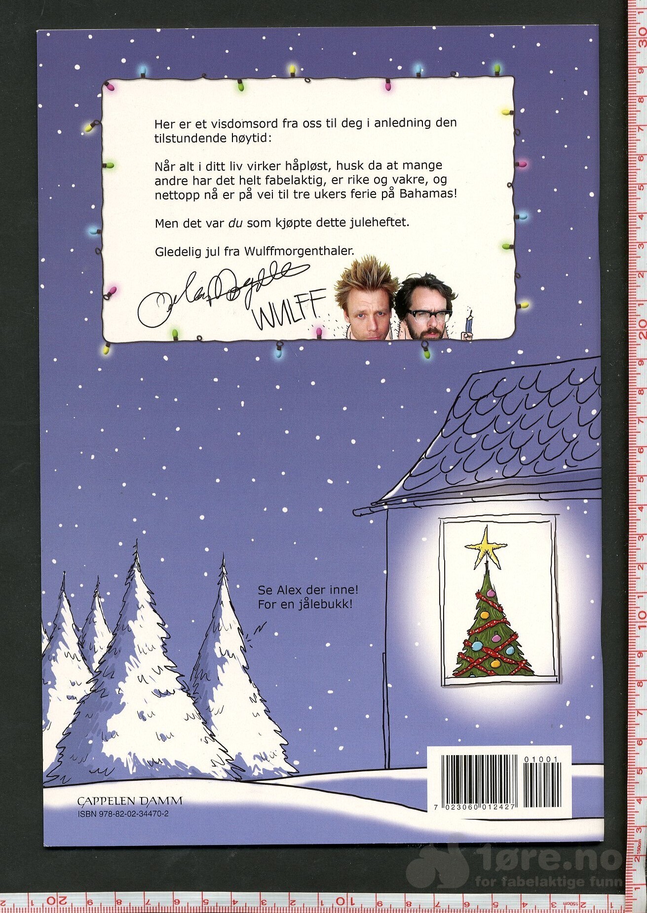 WULFFMORGENTHALER 2010, bilde 2
