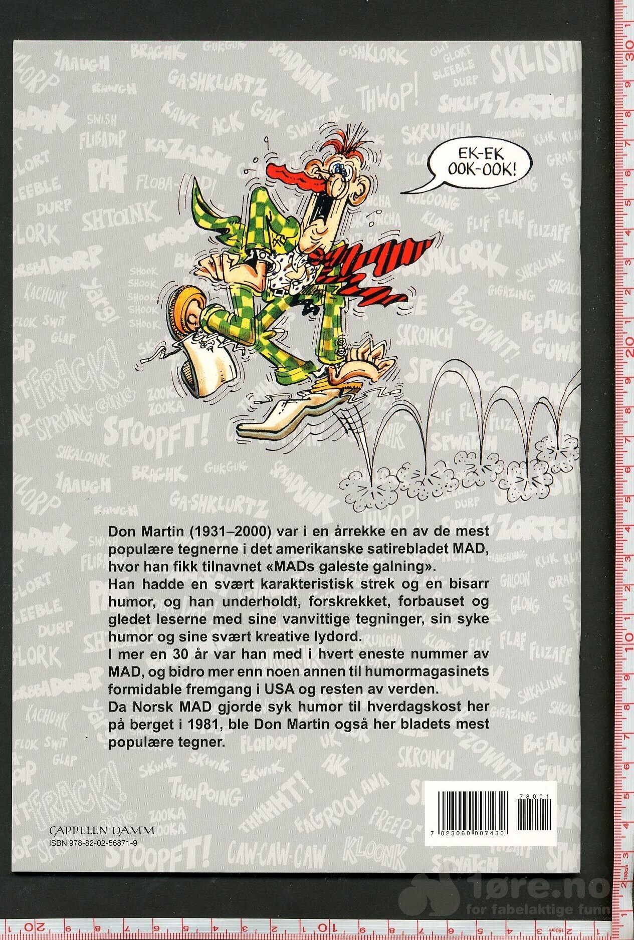 DON MARTIN 2017, bilde 2
