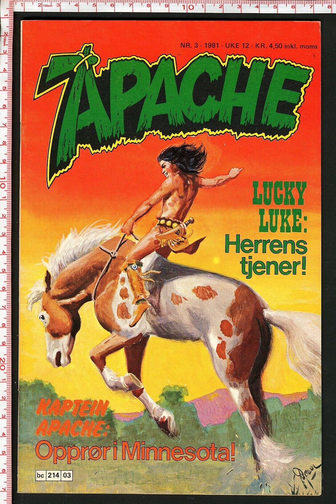 Apache - 1981, bilde 3