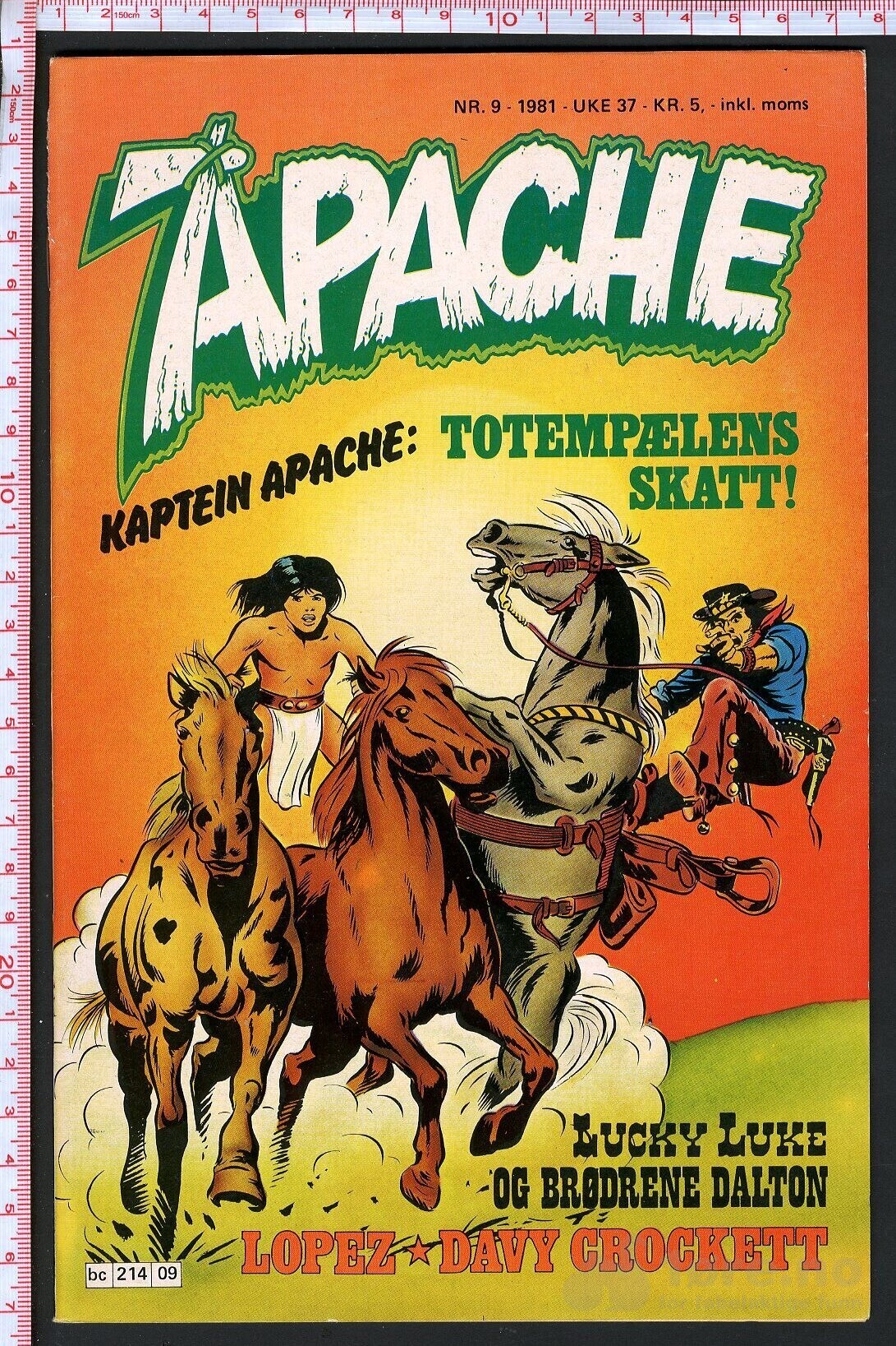 Apache - 1981, bilde 9