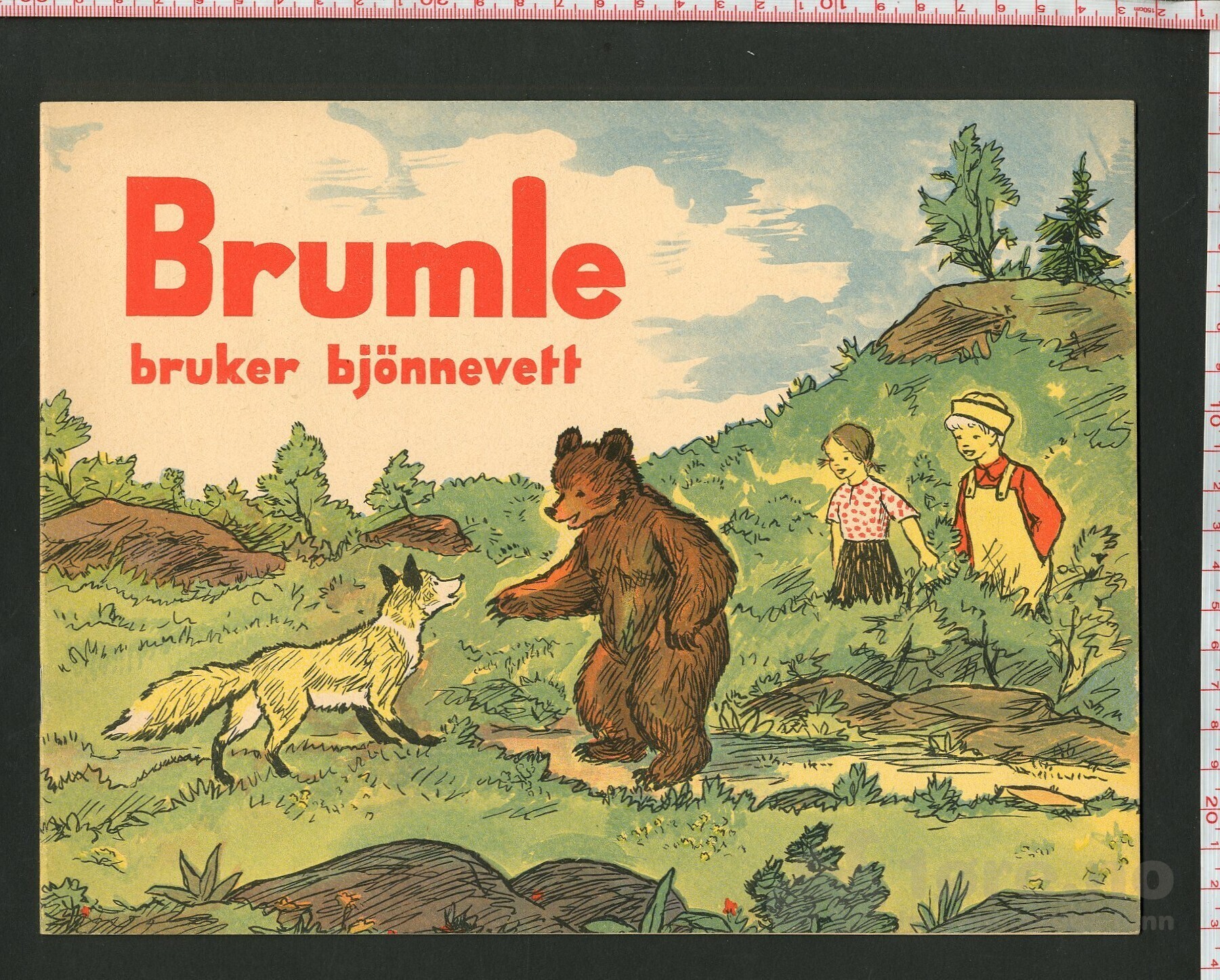 Brumle bruker bjønnevett 1951