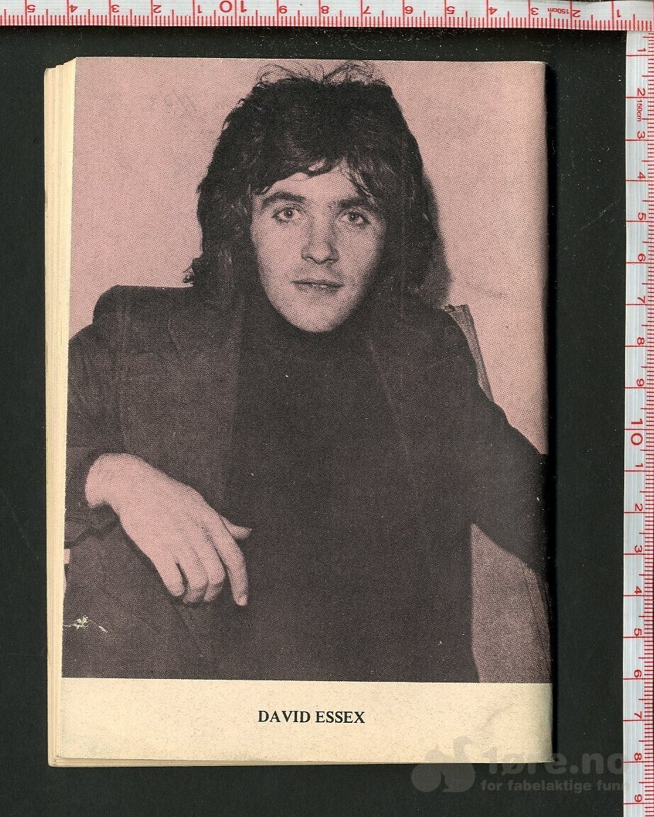 HJERTE REVYEN  NR.12  1973, bilde 2
