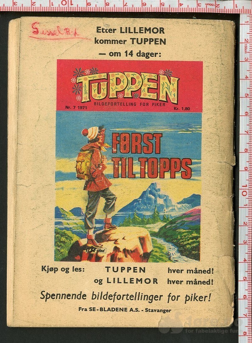 LILLEMOR NR.6 1971, bilde 2