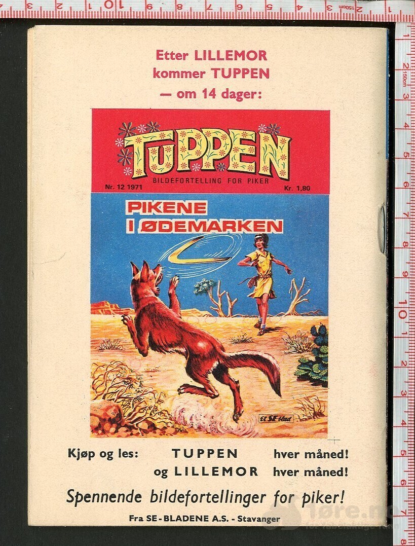 LILLEMOR NR.11 1971, bilde 2