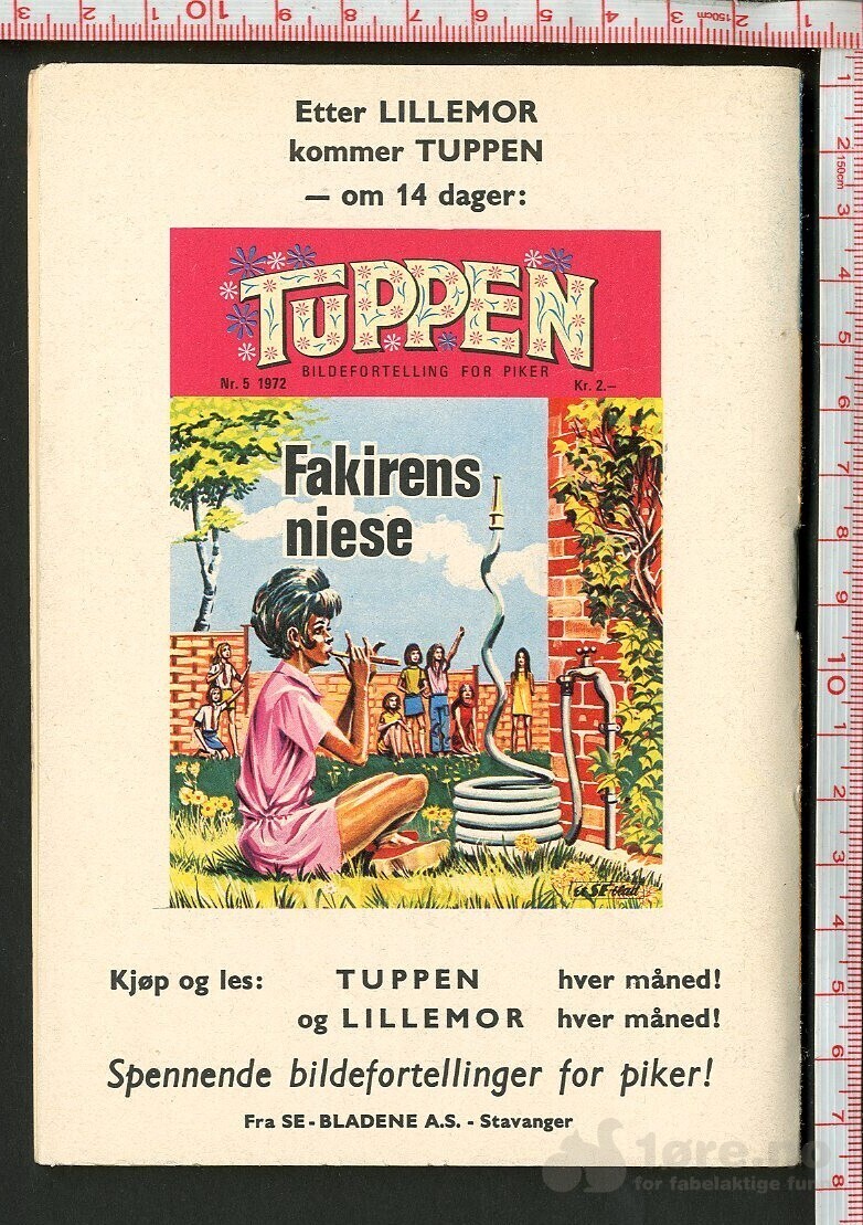 LILLEMOR  NR.4  1972, bilde 2