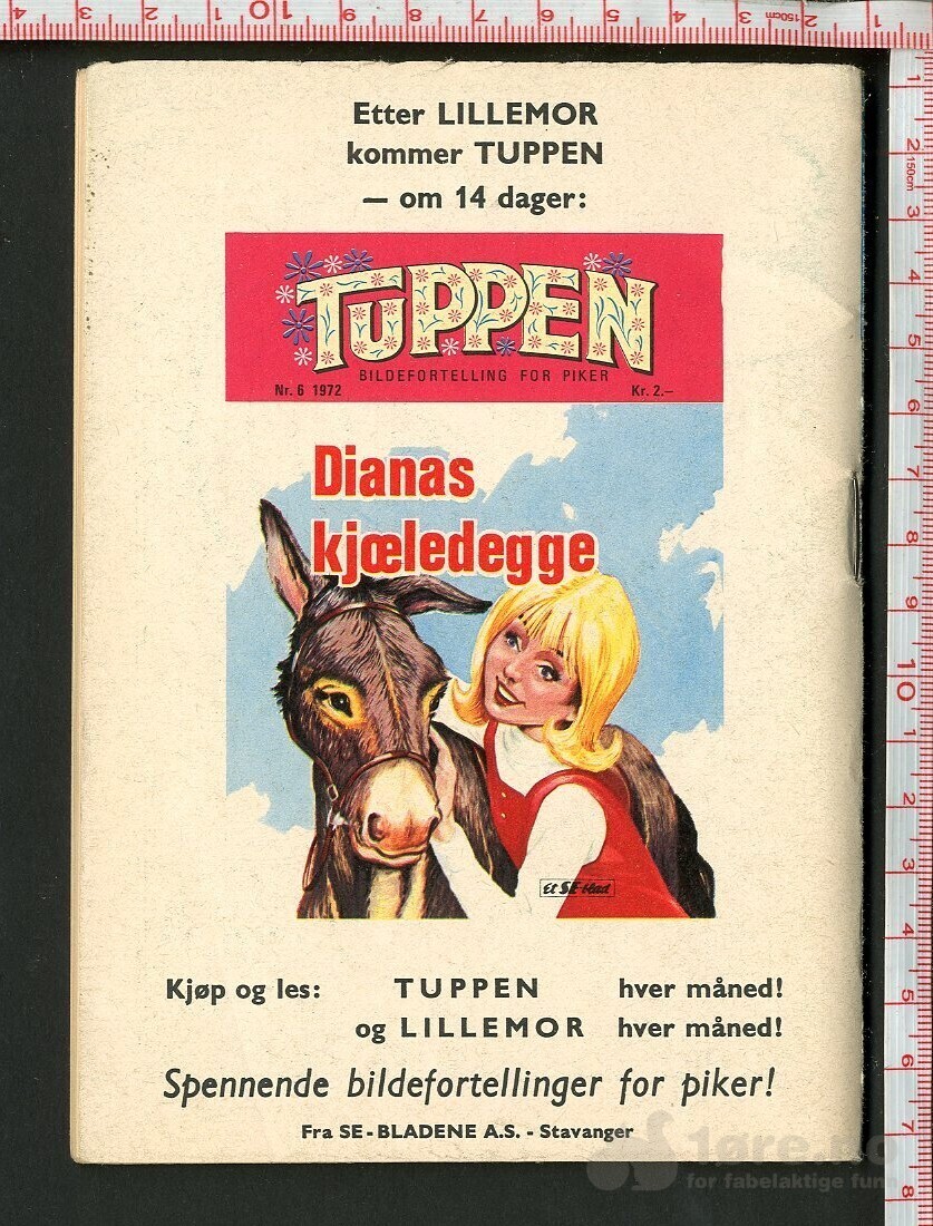 LILLEMOR  NR.5  1972, bilde 2