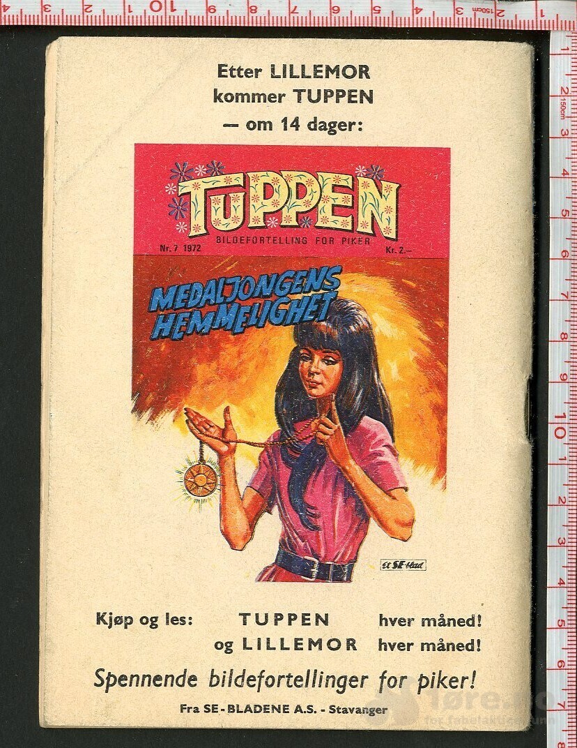 LILLEMOR  NR.6  1972, bilde 2