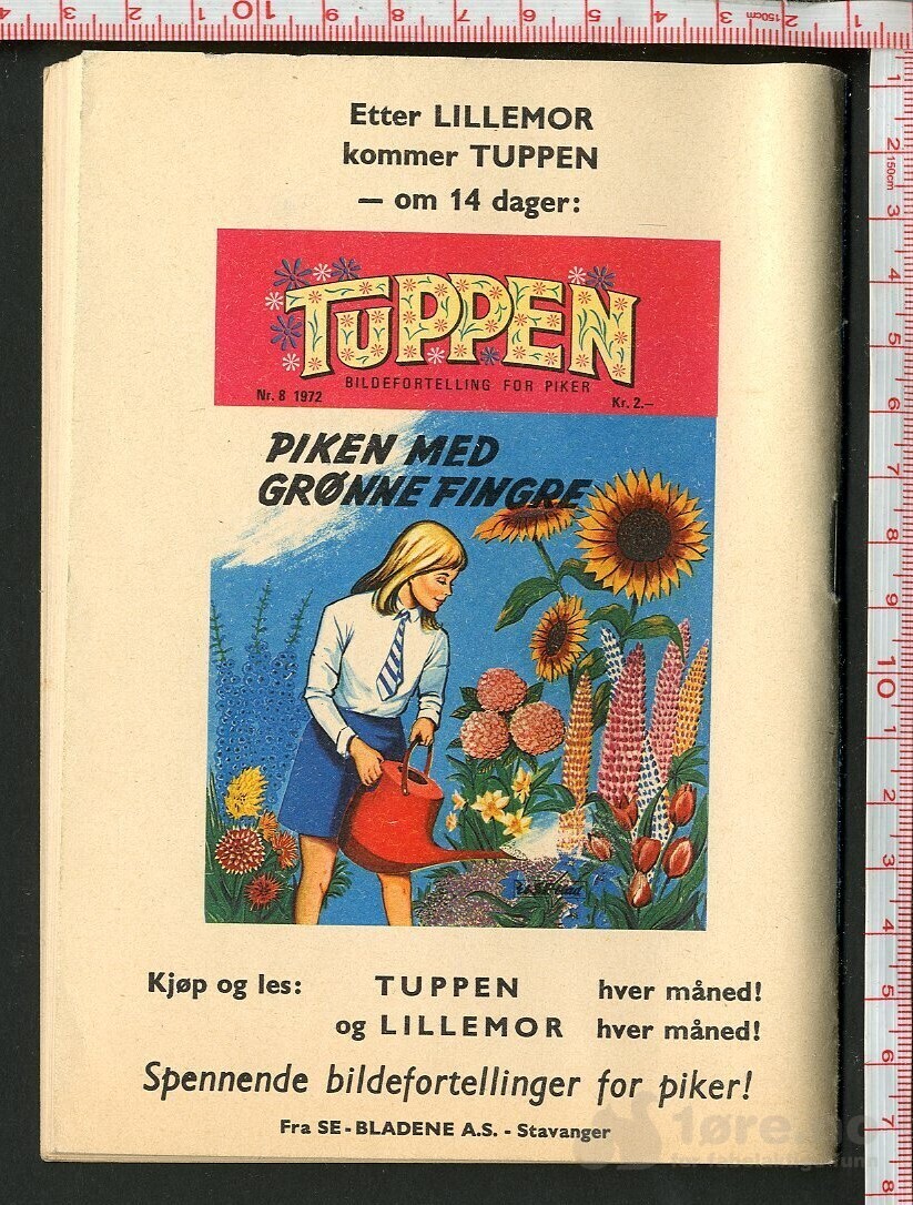 LILLEMOR  NR.7  1972, bilde 2