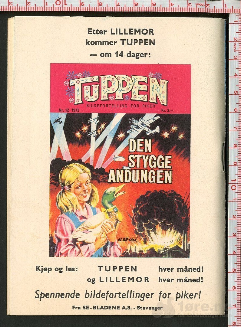 LILLEMOR  NR.11  1972, bilde 2