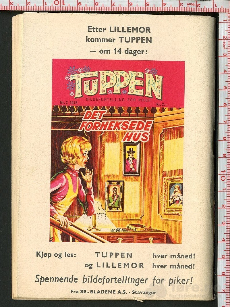 LILLEMOR  NR.1  1973, bilde 2