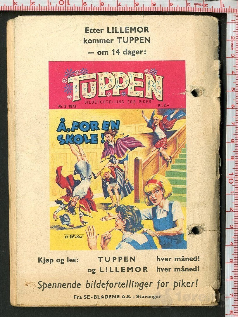 LILLEMOR  NR.2  1973, bilde 2