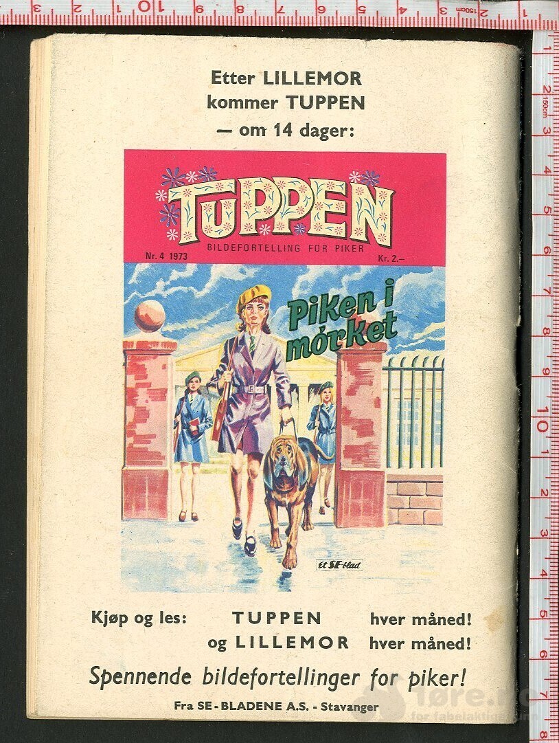 LILLEMOR  NR.3  1973, bilde 2