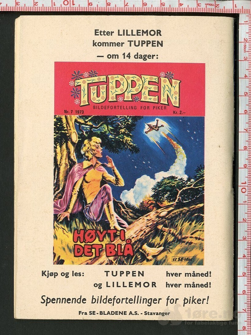 LILLEMOR  NR.6  1973, bilde 2