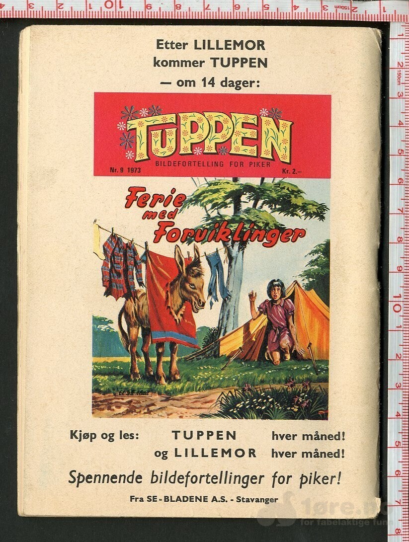 LILLEMOR  NR.8  1973, bilde 2