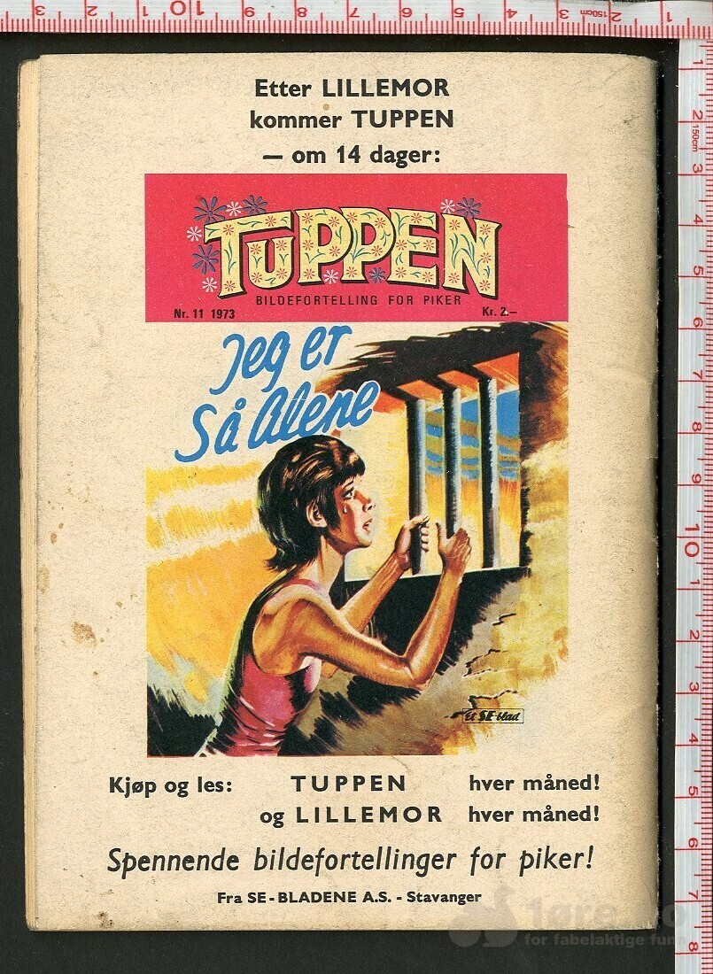 LILLEMOR  NR.10  1973, bilde 2