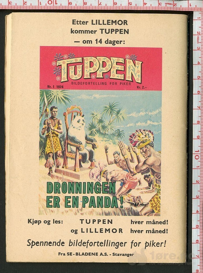 LILLEMOR NR.12  1973, bilde 2