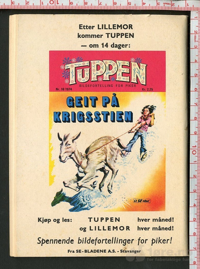 LILLEMOR NR.9  1974, bilde 2