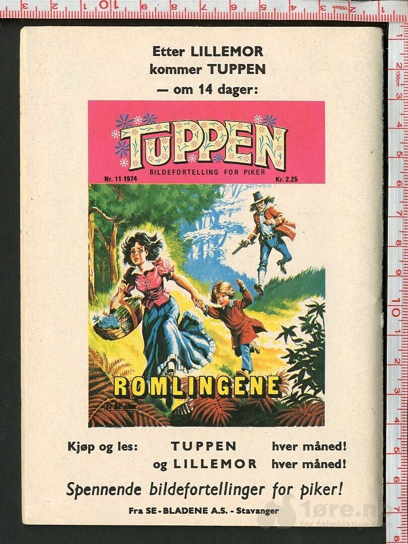 LILLEMOR  NR.10  1974, bilde 2