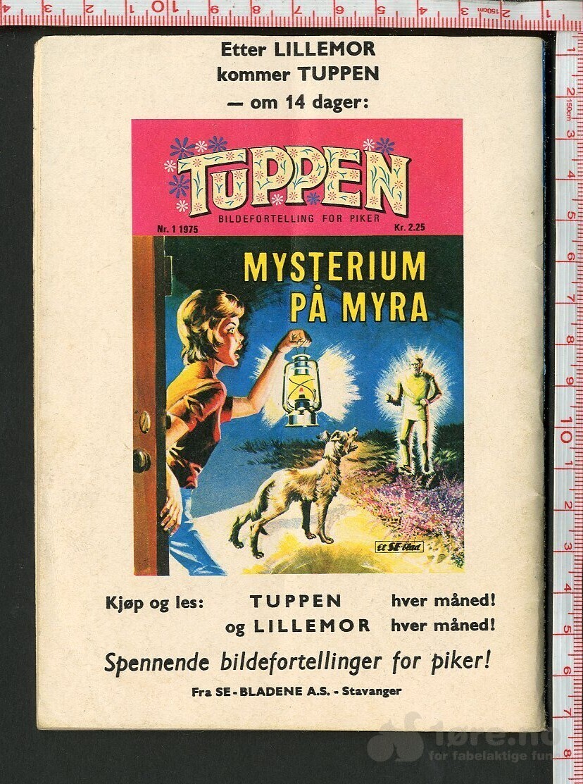 LILLEMOR  NR.12  1974, bilde 2