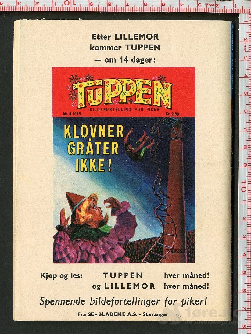 LILLEMOR  NR.3  1975, bilde 2