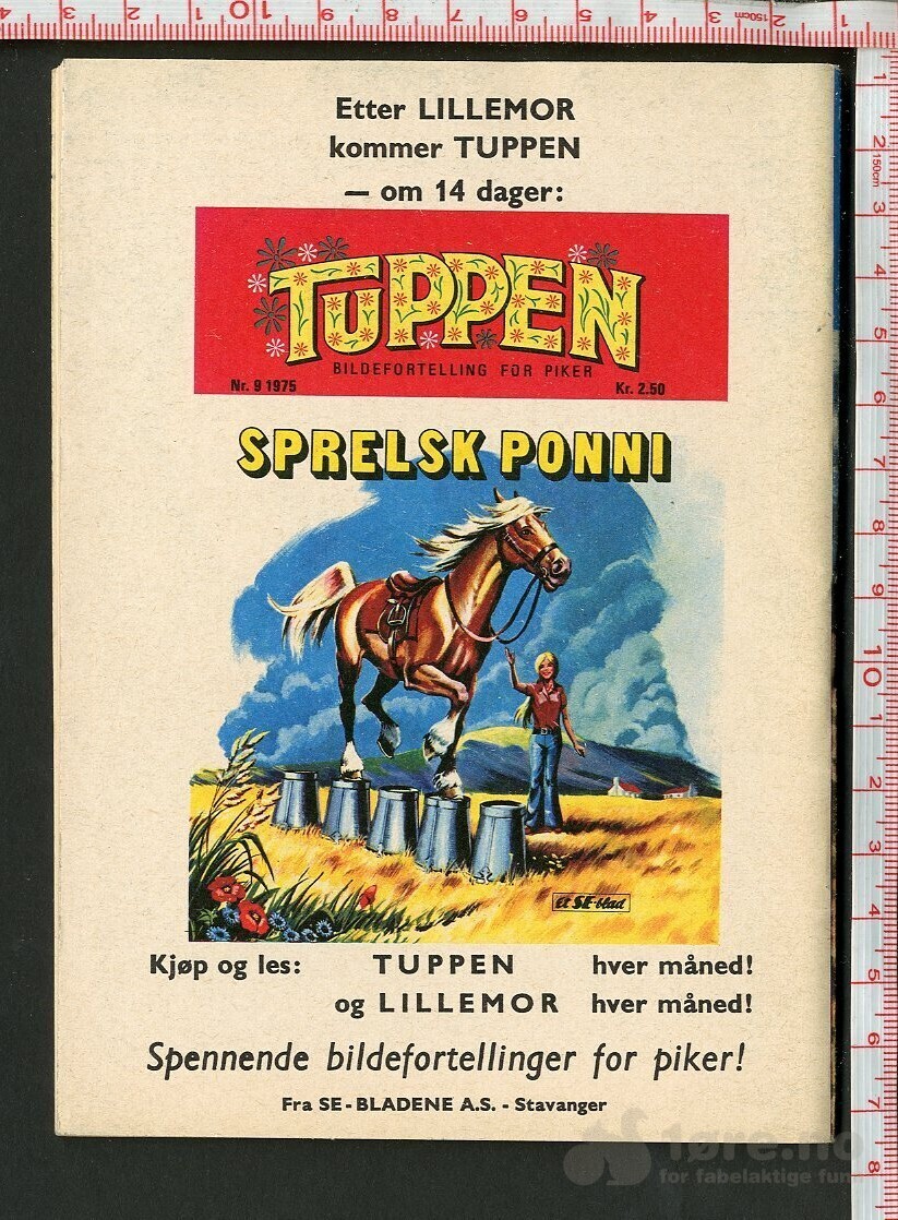 LILLEMOR NR.8 1975, bilde 2