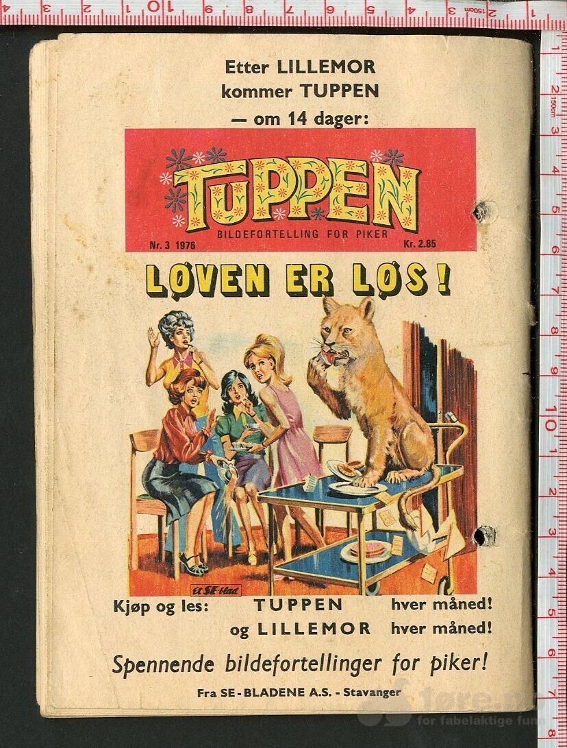 LILLEMOR NR.2  1976, bilde 2