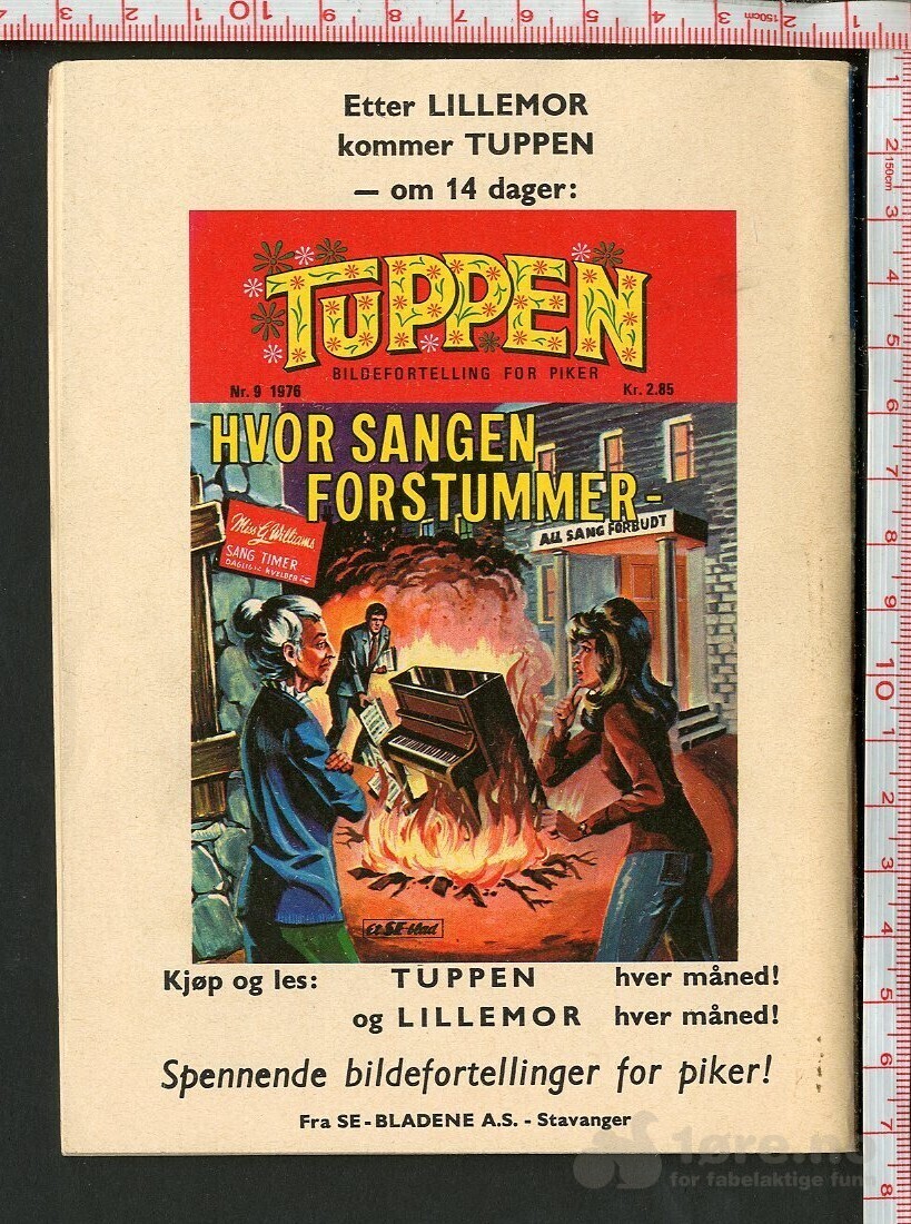 LILLEMOR  NR.8 1976, bilde 2