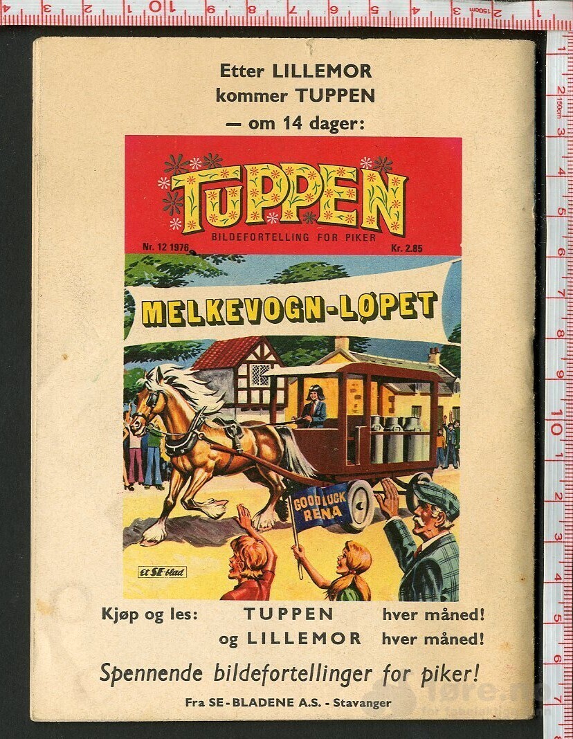 LILLEMOR  NR.11  1976, bilde 2