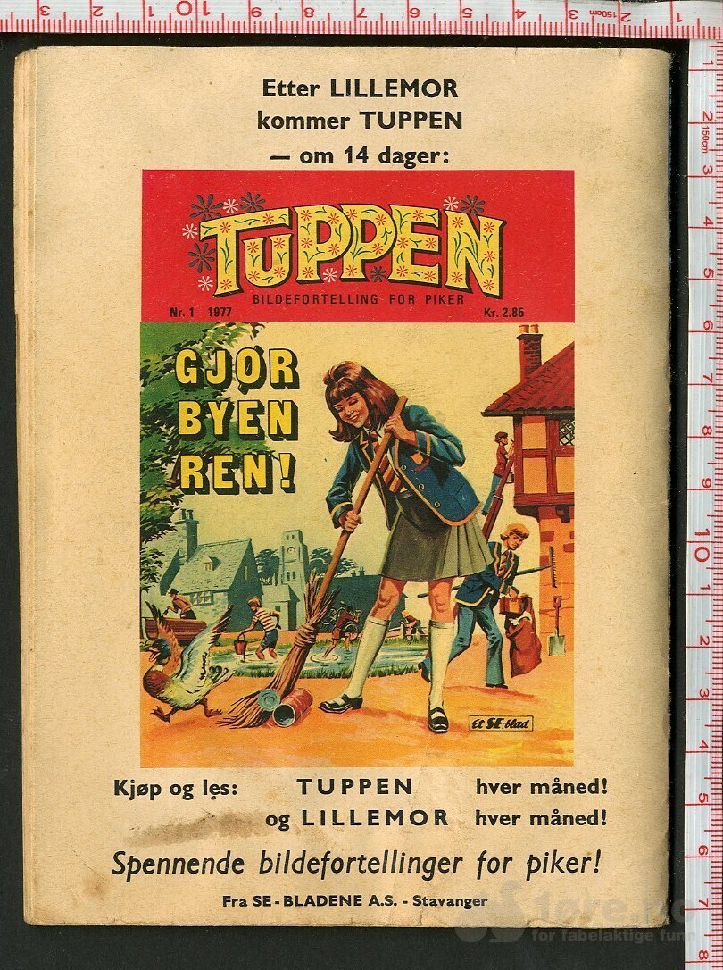 LILLEMOR  NR.12  1976, bilde 2