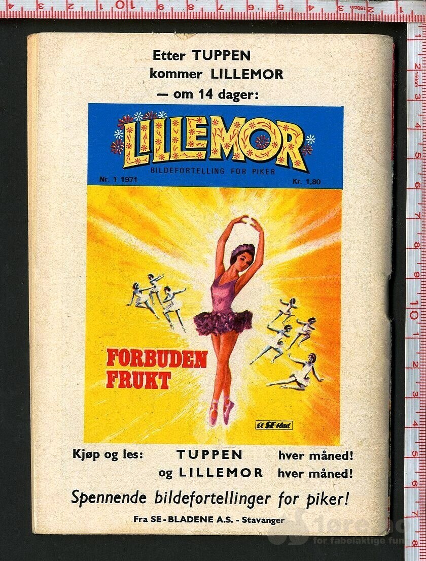 Tuppen nr.1 1971, bilde 2