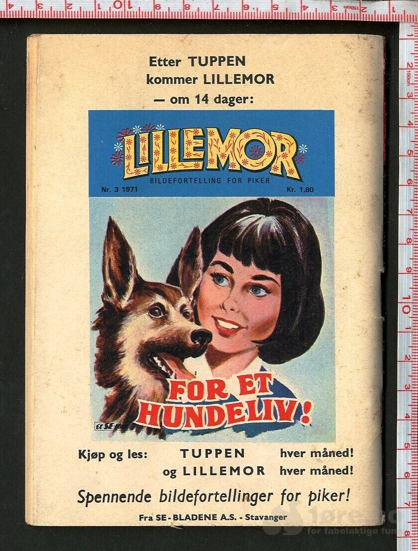 Tuppen nr.3 1971, bilde 2