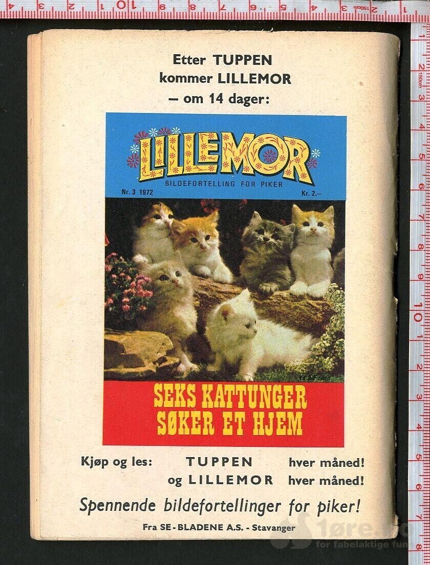 Tuppen nr.3 1972, bilde 2