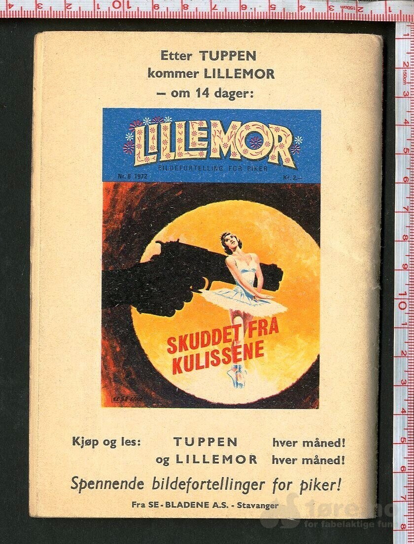 Tuppen nr.6 1972, bilde 2