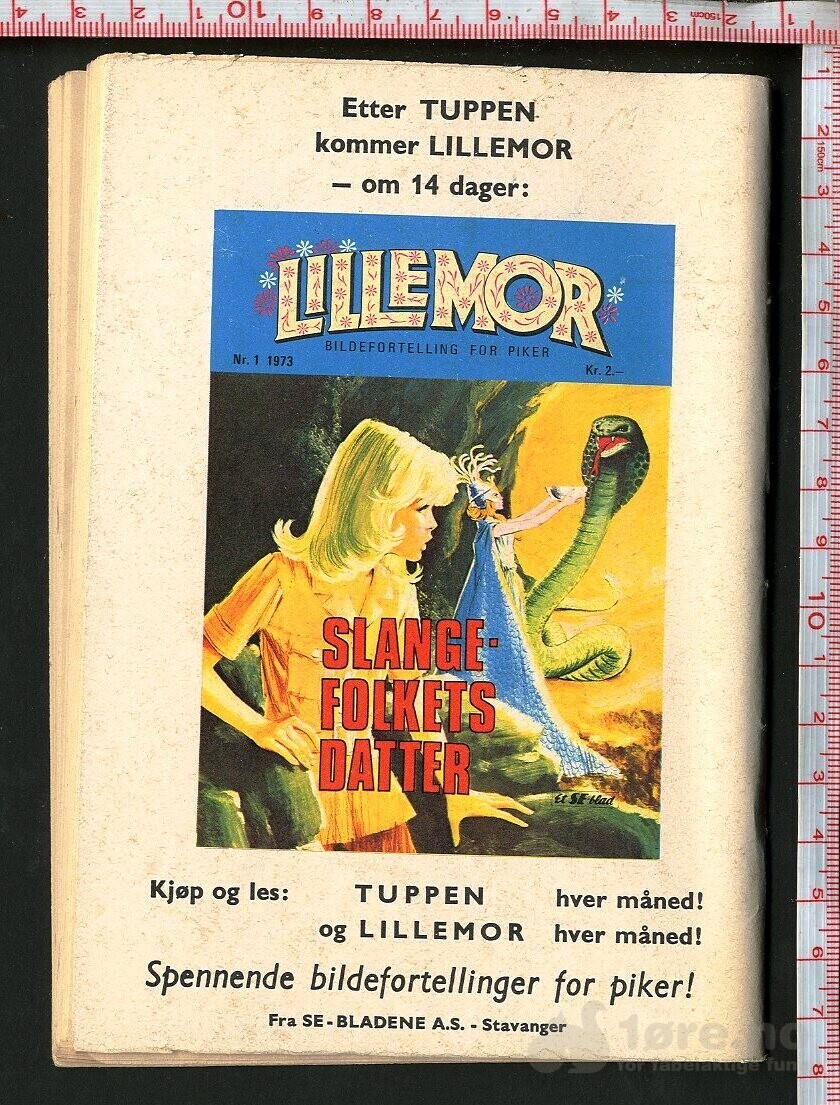 Tuppen nr.1 1973, bilde 2