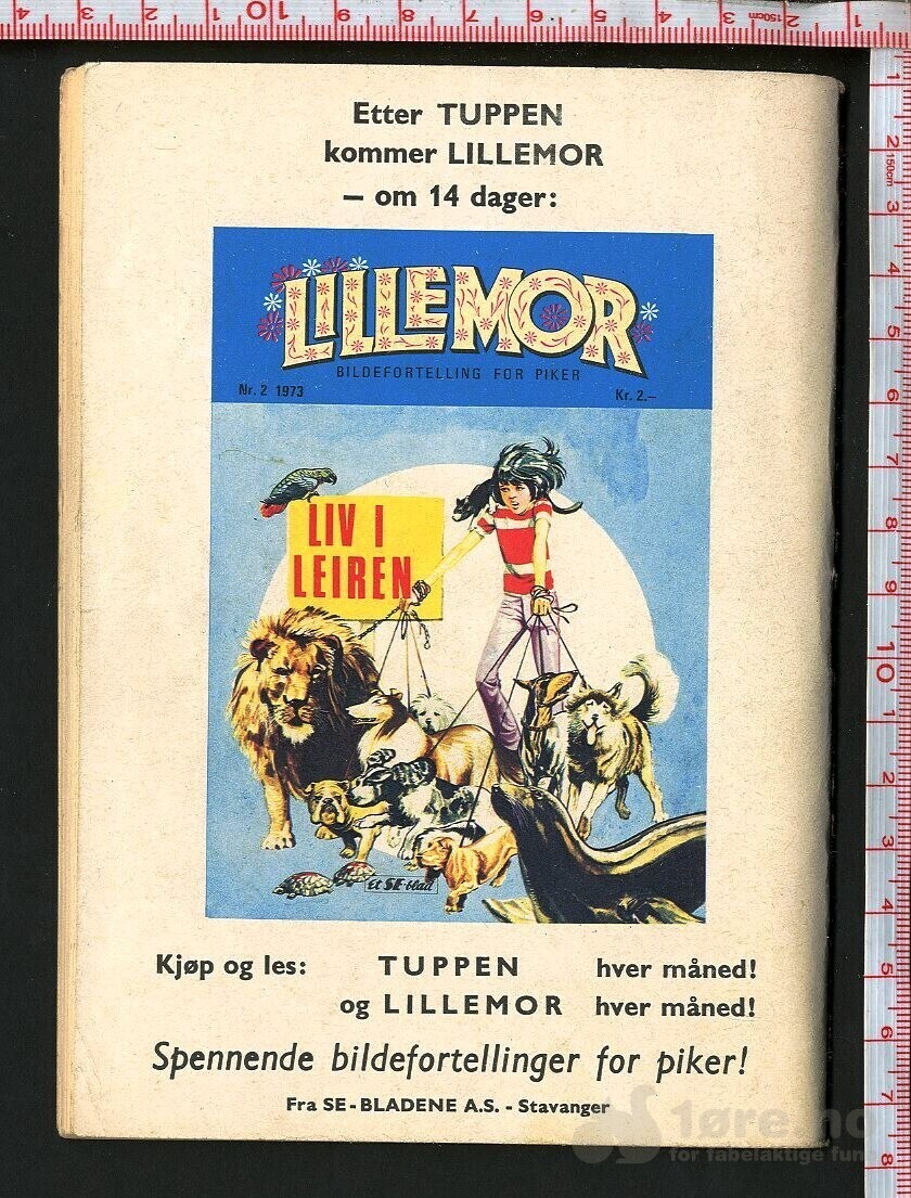 Tuppen nr.2 1973, bilde 2