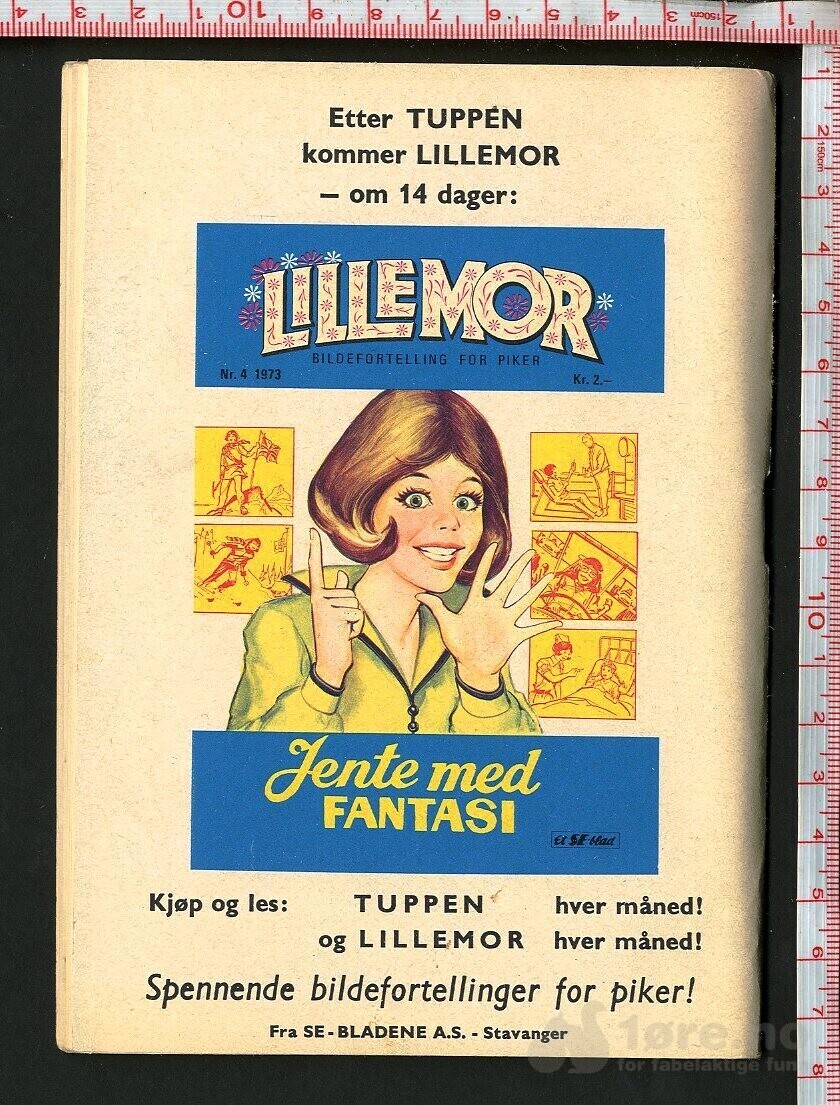 Tuppen nr.4 1973, bilde 2