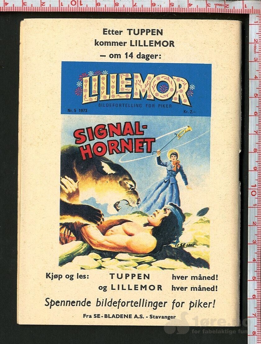 Tuppen nr.5 1973, bilde 2