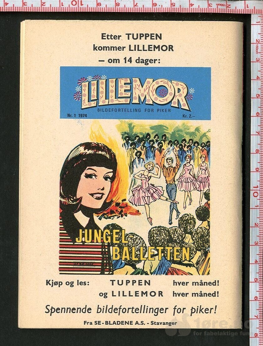 Tuppen nr.1 1974, bilde 2